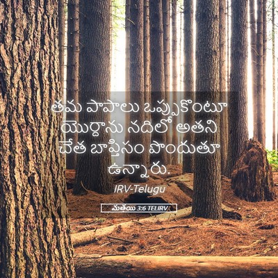 Picture 05 - మత్తయి 3:6 TELIRV - తమ పాపాలు - Bible Verse Picture
