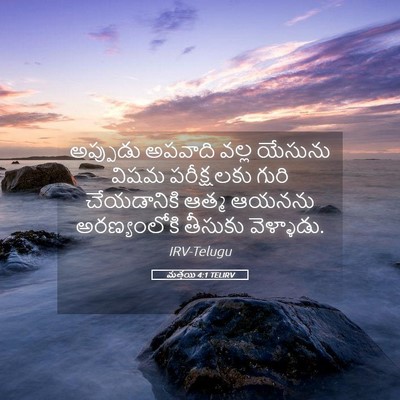 Picture 05 - మత్తయి 4:1 TELIRV - అప్పుడు అపవాది - Bible Verse Picture