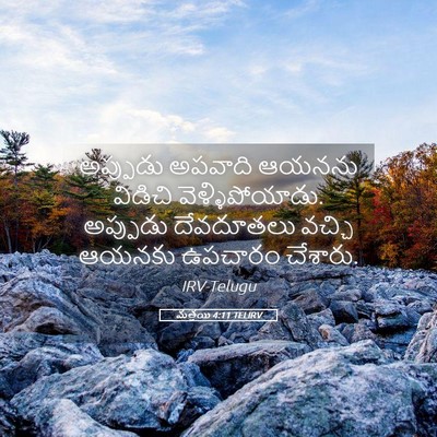 Picture 05 - మత్తయి 4:11 TELIRV - అప్పుడు అపవాది - Bible Verse Picture