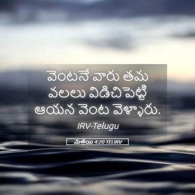 Picture 05 - మత్తయి 4:20 TELIRV - వెంటనే వారు తమ - Bible Verse Picture