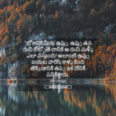 Picture 05 - మత్తయి 5:13 TELIRV - “లోకానికి మీరు - Bible Verse Picture