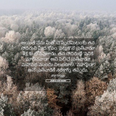 Picture 05 - మత్తయి 5:22 TELIRV - అయితే నేను మీతో - Bible Verse Picture