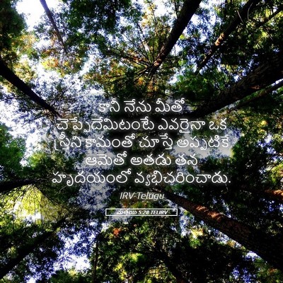 Picture 05 - మత్తయి 5:28 TELIRV - కానీ నేను మీతో - Bible Verse Picture