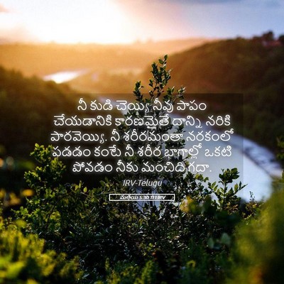 Picture 05 - మత్తయి 5:30 TELIRV - నీ కుడి చెయ్యి - Bible Verse Picture