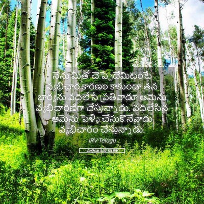 Picture 05 - మత్తయి 5:32 TELIRV - నేను మీతో - Bible Verse Picture