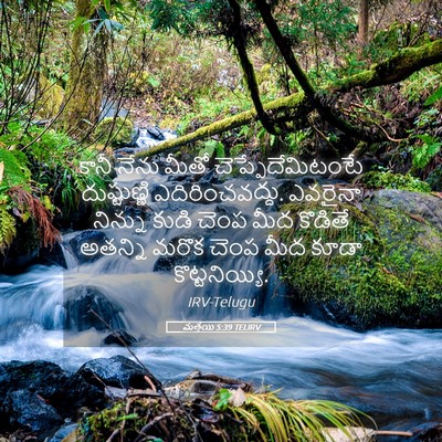 Picture 05 - మత్తయి 5:39 TELIRV - కానీ నేను మీతో - Bible Verse Picture