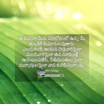 Picture 05 - మత్తయి 5:45 TELIRV - ఆ విధంగా మీరు - Bible Verse Picture