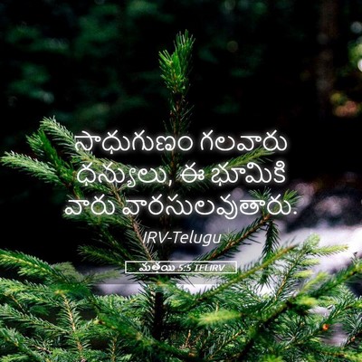 Picture 05 - మత్తయి 5:5 TELIRV - సాధుగుణం గలవారు - Bible Verse Picture