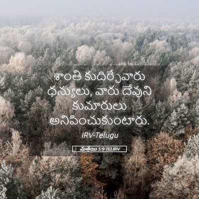 Picture 05 - మత్తయి 5:9 TELIRV - శాంతి - Bible Verse Picture