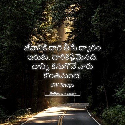 Picture 05 - మత్తయి 7:14 TELIRV - జీవానికి దారి - Bible Verse Picture