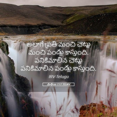 Picture 05 - మత్తయి 7:17 TELIRV - అలాగే ప్రతి మంచి - Bible Verse Picture