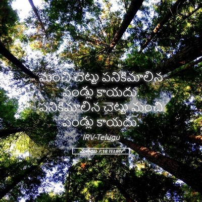 Picture 05 - మత్తయి 7:18 TELIRV - మంచి చెట్టు - Bible Verse Picture