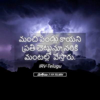 Picture 05 - మత్తయి 7:19 TELIRV - మంచి పండ్లు కాయని - Bible Verse Picture