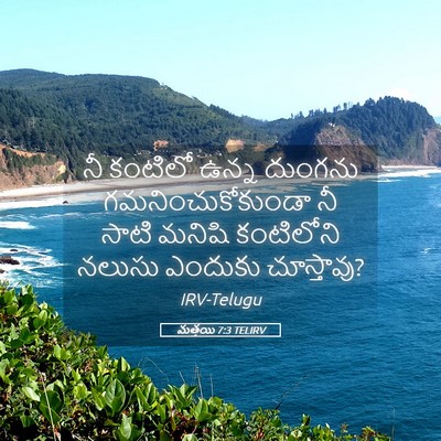 Picture 05 - మత్తయి 7:3 TELIRV - నీ కంటిలో ఉన్న - Bible Verse Picture