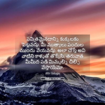 Picture 05 - మత్తయి 7:6 TELIRV - పవిత్రమైనదాన్ని - Bible Verse Picture