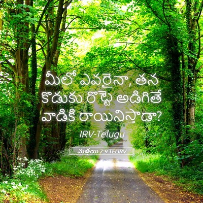 Picture 05 - మత్తయి 7:9 TELIRV - మీలో ఎవరైనా, తన - Bible Verse Picture
