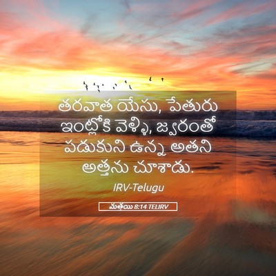 Picture 05 - మత్తయి 8:14 TELIRV - తరవాత యేసు, పేతురు - Bible Verse Picture