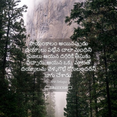 Picture 05 - మత్తయి 8:16 TELIRV - సాయంకాలం - Bible Verse Picture