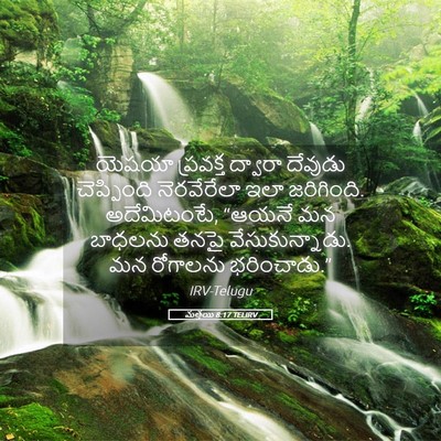 Picture 05 - మత్తయి 8:17 TELIRV - యెషయా ప్రవక్త - Bible Verse Picture