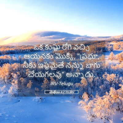 Picture 05 - మత్తయి 8:2 TELIRV - ఒక కుష్టు రోగి - Bible Verse Picture