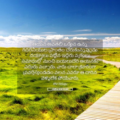 Picture 05 - మత్తయి 8:28 TELIRV - ఆయన అవతలి ఒడ్డున - Bible Verse Picture