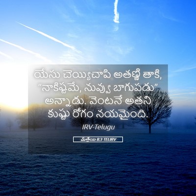 Picture 05 - మత్తయి 8:3 TELIRV - యేసు చెయ్యిచాపి - Bible Verse Picture