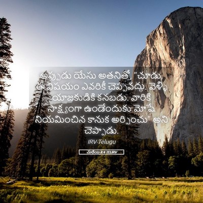 Picture 05 - మత్తయి 8:4 TELIRV - అప్పుడు యేసు - Bible Verse Picture
