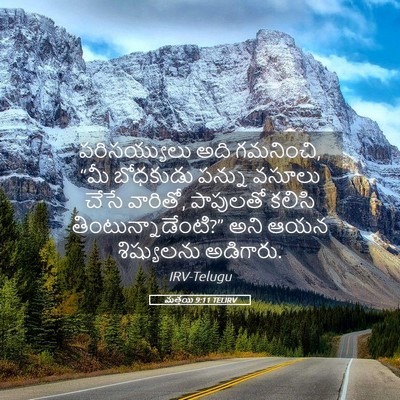Picture 05 - మత్తయి 9:11 TELIRV - పరిసయ్యులు అది - Bible Verse Picture