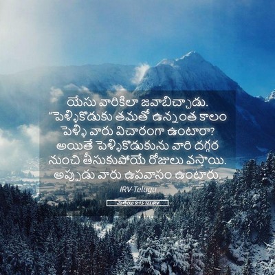 Picture 05 - మత్తయి 9:15 TELIRV - యేసు వారికిలా - Bible Verse Picture
