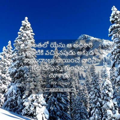 Picture 05 - మత్తయి 9:23 TELIRV - అంతలో యేసు ఆ - Bible Verse Picture