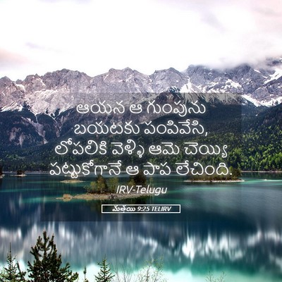 Picture 05 - మత్తయి 9:25 TELIRV - ఆయన ఆ గుంపును - Bible Verse Picture