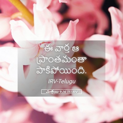 Picture 05 - మత్తయి 9:26 TELIRV - ఈ వార్త ఆ - Bible Verse Picture