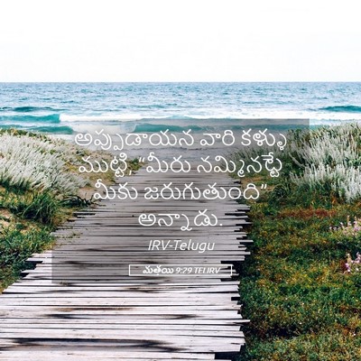 Picture 05 - మత్తయి 9:29 TELIRV - అప్పుడాయన వారి - Bible Verse Picture