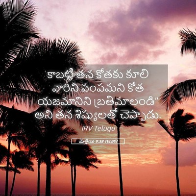 Picture 05 - మత్తయి 9:38 TELIRV - కాబట్టి తన కోతకు - Bible Verse Picture
