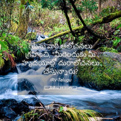 Picture 05 - మత్తయి 9:4 TELIRV - యేసు వారి ఆలోచనలు - Bible Verse Picture