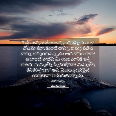 Picture 05 - మలాకీ 1:8 TELIRV - గుడ్డి దాన్ని - Bible Verse Picture