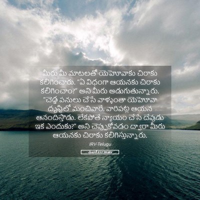 Picture 05 - మలాకీ 2:17 TELIRV - మీరు మీ మాటలతో - Bible Verse Picture