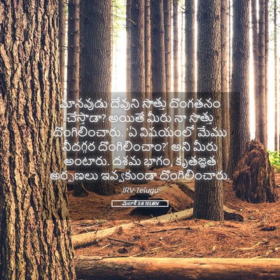 Picture 05 - మలాకీ 3:8 TELIRV - మానవుడు దేవుని - Bible Verse Picture