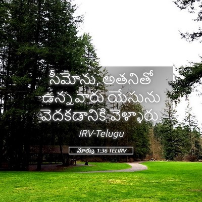 Picture 05 - మార్కు 1:36 TELIRV - సీమోను, అతనితో - Bible Verse Picture