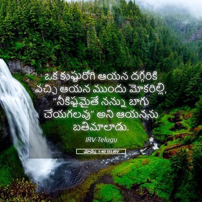 Picture 05 - మార్కు 1:40 TELIRV - ఒక కుష్టురోగి ఆయన - Bible Verse Picture