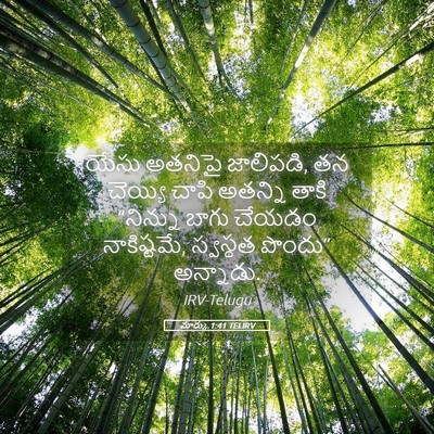 Picture 05 - మార్కు 1:41 TELIRV - యేసు అతనిపై - Bible Verse Picture