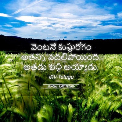 Picture 05 - మార్కు 1:42 TELIRV - వెంటనే కుష్టురోగం - Bible Verse Picture