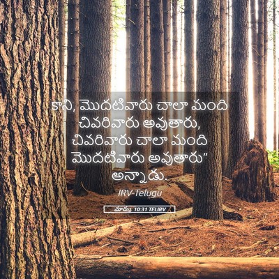 Picture 05 - మార్కు 10:31 TELIRV - కాని, మొదటివారు - Bible Verse Picture