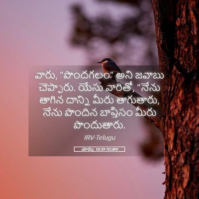 Picture 05 - మార్కు 10:39 TELIRV - వారు, “పొందగలం” - Bible Verse Picture