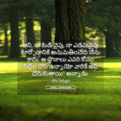 Picture 05 - మార్కు 10:40 TELIRV - కాని, నా కుడి వైపు, - Bible Verse Picture