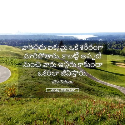 Picture 05 - మార్కు 10:8 TELIRV - వారిద్దరు ఐక్యమై - Bible Verse Picture