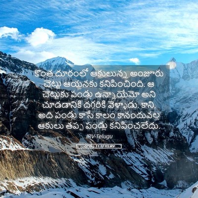 Picture 05 - మార్కు 11:13 TELIRV - కొంత దూరంలో - Bible Verse Picture