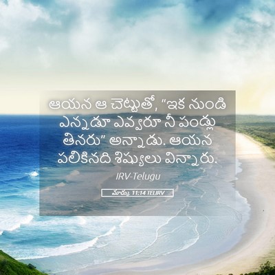 Picture 05 - మార్కు 11:14 TELIRV - ఆయన ఆ చెట్టుతో, “ఇక - Bible Verse Picture