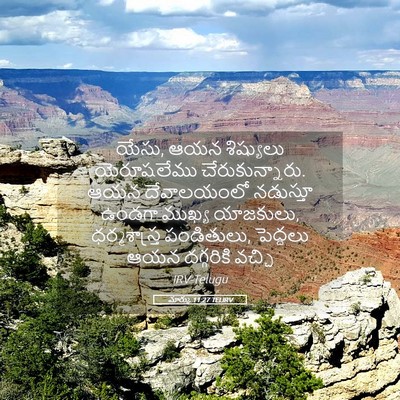 Picture 05 - మార్కు 11:27 TELIRV - యేసు, ఆయన శిష్యులు - Bible Verse Picture
