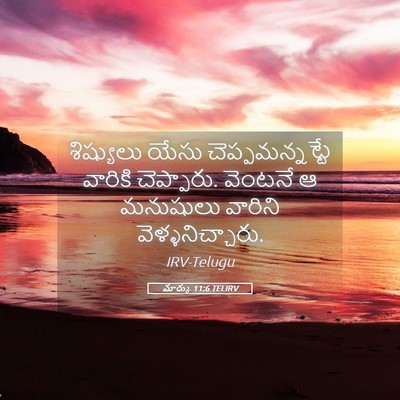 Picture 05 - మార్కు 11:6 TELIRV - శిష్యులు యేసు - Bible Verse Picture